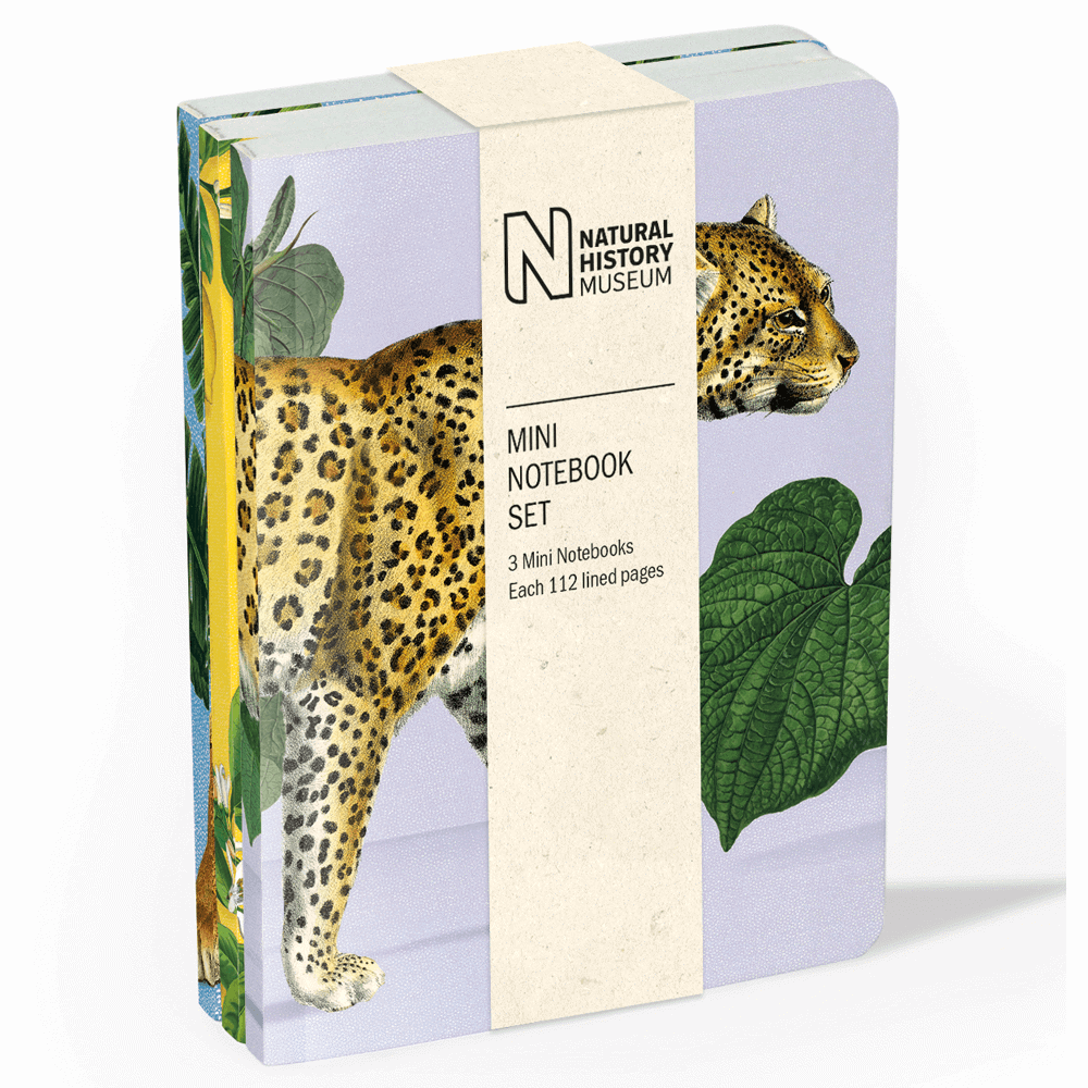 Natural History Museum Array Of Animals Mini Notebook Set